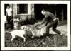 Germán Delibes de Castro  observa a Miguel Delibes Setién jugando con su perro Farolín en su casa...