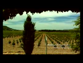El son del agua cerca del Duero.