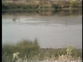 Videolibro "La sonora soledad" de Juan Yepes.